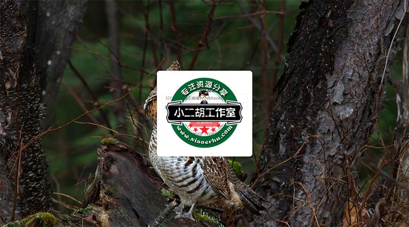 Webhook发送消息 - 星益云.jpg