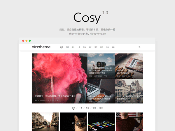 WordPress模板主题  漂亮得不像实力派的Cosy主题 破解版
